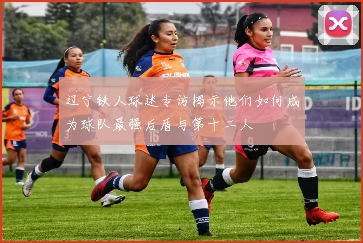 辽宁铁人球迷专访揭示他们如何成为球队最强后盾与第十二人